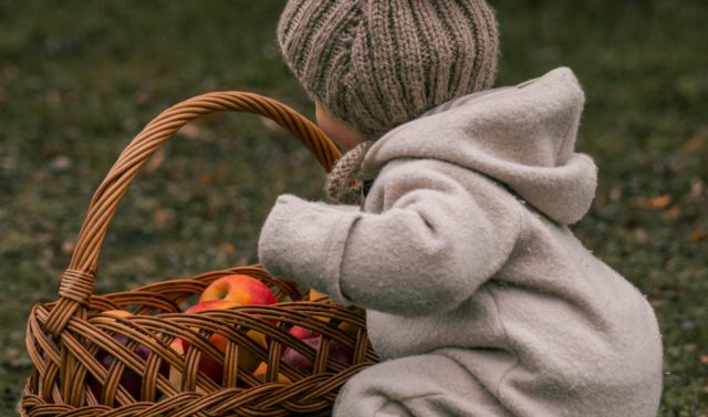 Kleines Mädchen greift neugierig in einen Korb mit Äpfeln – stimmungsvolles Familienfoto im Park in Kiel